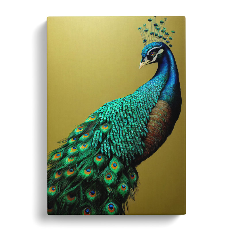 XV1022-4976X View Of A Peacock No.3 - Print, Wrapped Canvas, 50cm H x 35cm W, No Matte