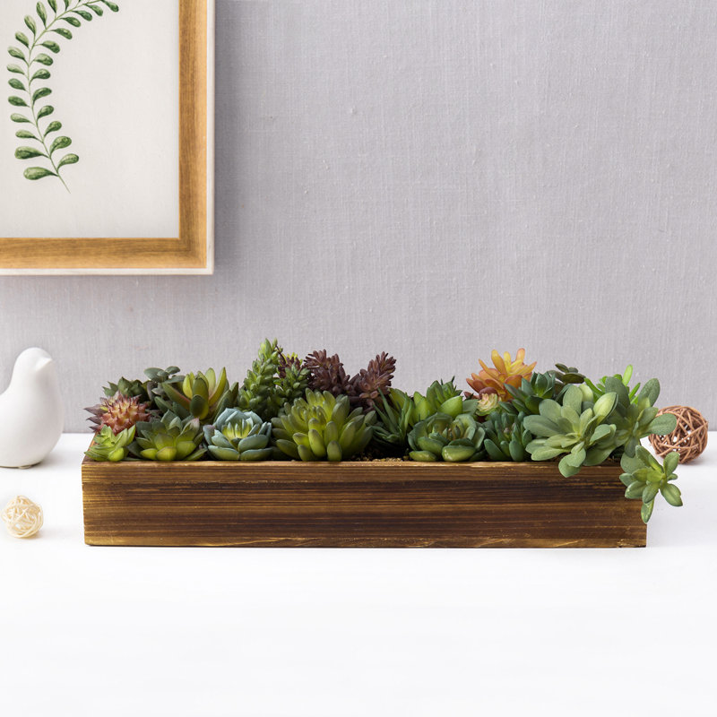 5'' Faux Succulent in Solid Wood Planter
