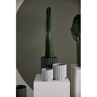 Ceramic Pot Planter
