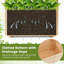 Elevated Planter