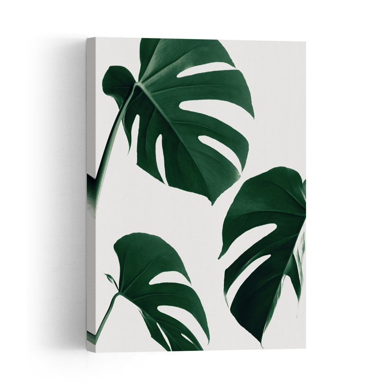 Fresh Green Monstera Leaves Minimalist Modern Organic Swiss Cheese Plant Nature Tropical Wall Art Print