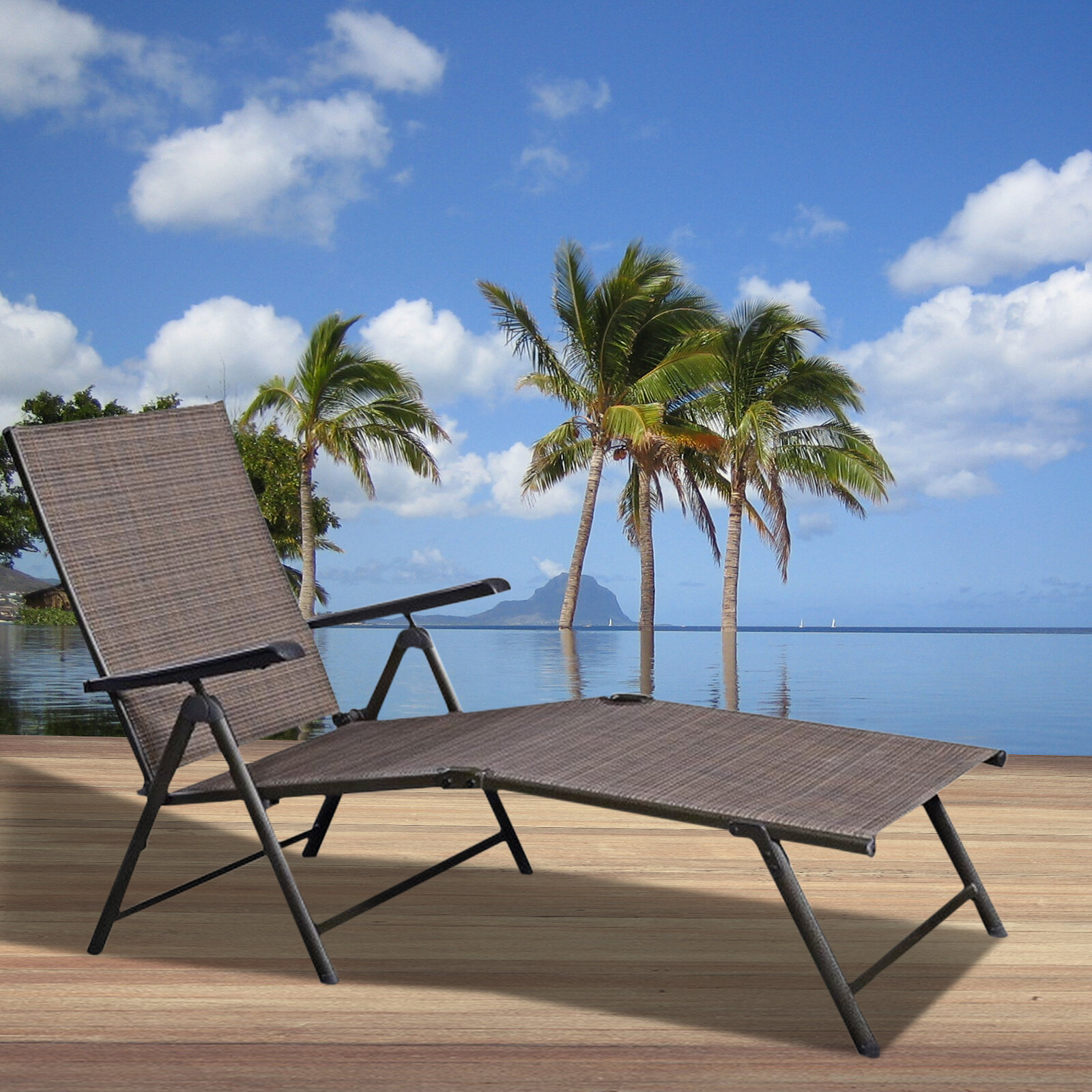 Arlmont & Co. Adjustable Outdoor Patio Pool Chaise Lounge | Wayfair