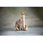 People Figurines & Sculptures