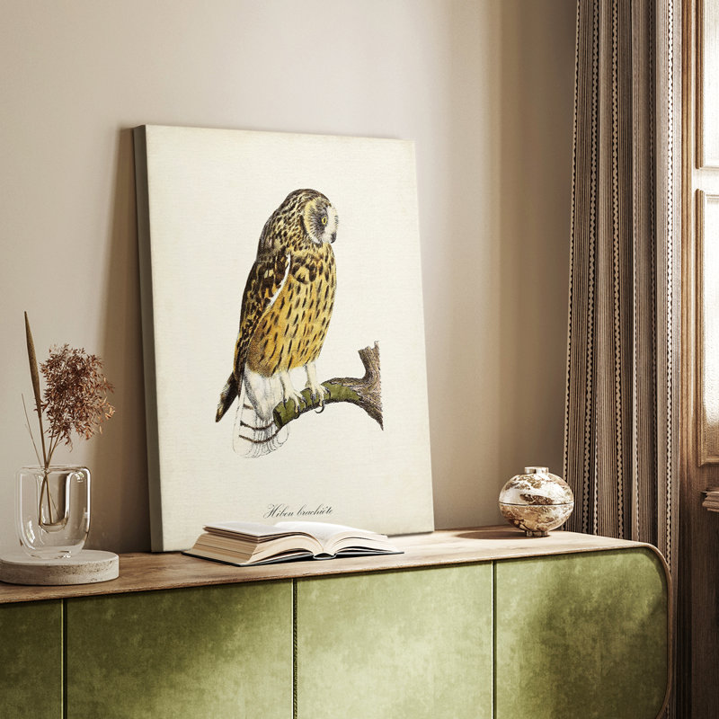 French Owls II - galerie sur mesure, H 12 po x l 8 po