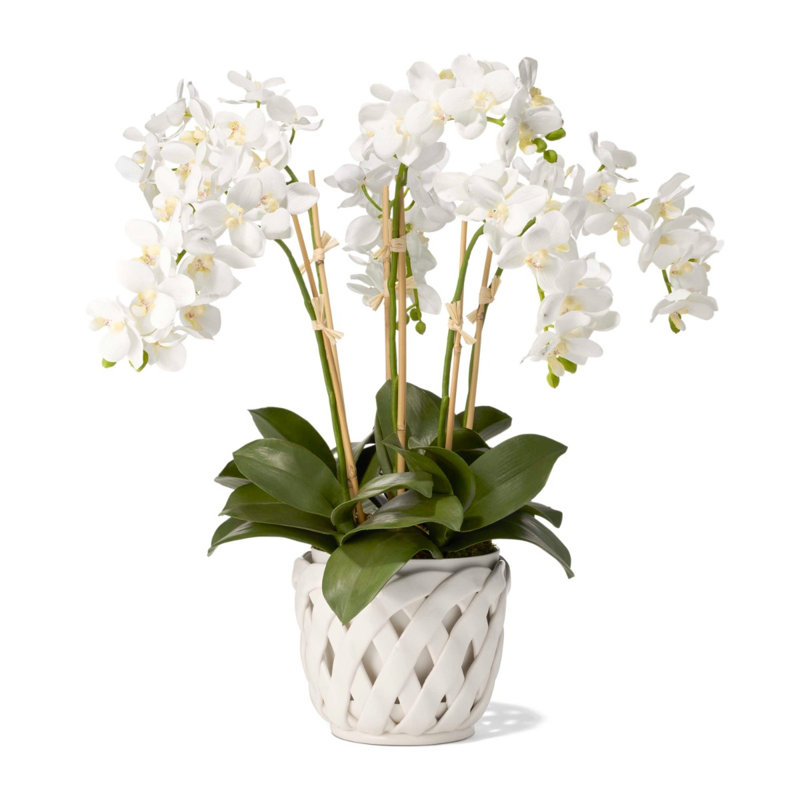 Aria Ceramic Planter