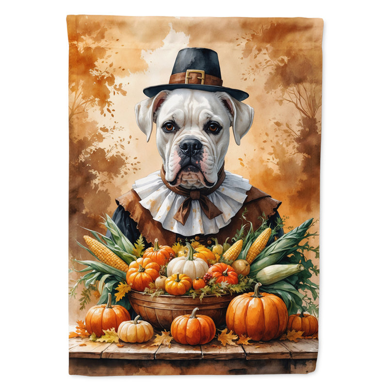 Drapeau du jardin de l'Action de grâce, Boxer blanc