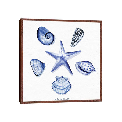 Shell Collection VI by Stephanie Ryan - Painting on Canvas