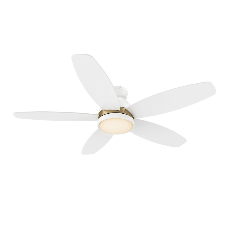 48'' Ceiling Fan with LED Lights, White