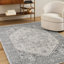 Oriental Area Rug-884162312