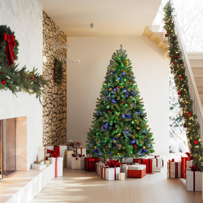 Lighted Christmas Tree