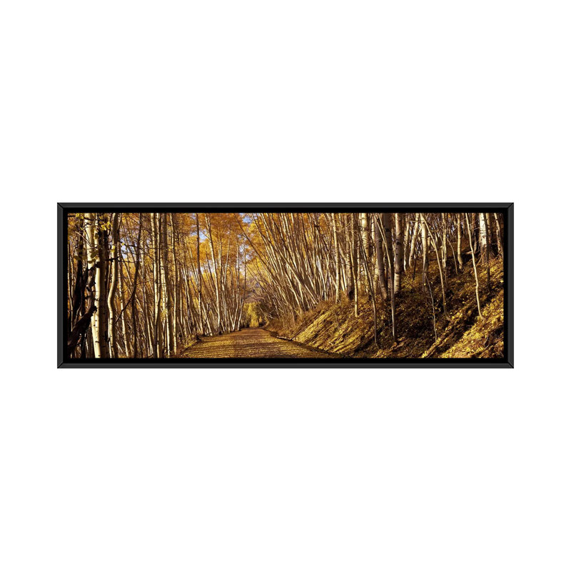 Reproduction de photo sur toile, H 24 po x l 72 po x P 1,5 po, Toile avec cadre noir