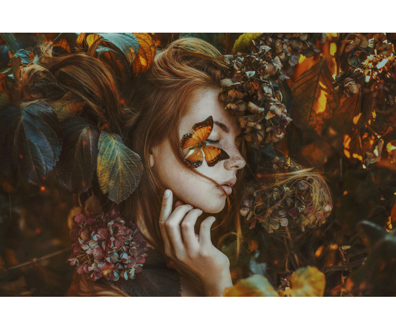 Wrapped Canvas Print, 60.96 cm H x 91.44 cm W