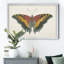 «Beautiful Butterfly IV», impression sur toile encadrée-1812992105-1812992104