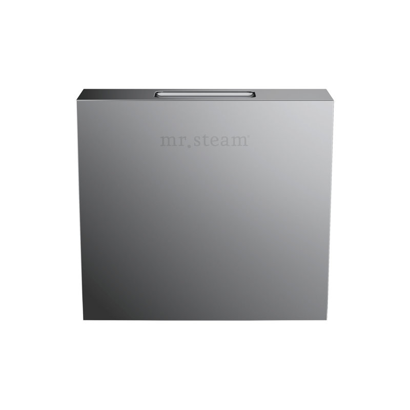 Designer 3 in. Steamhead with AromaTherapy Reservoir in Square , Black
