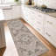 Oriental Area Rug-1448979530