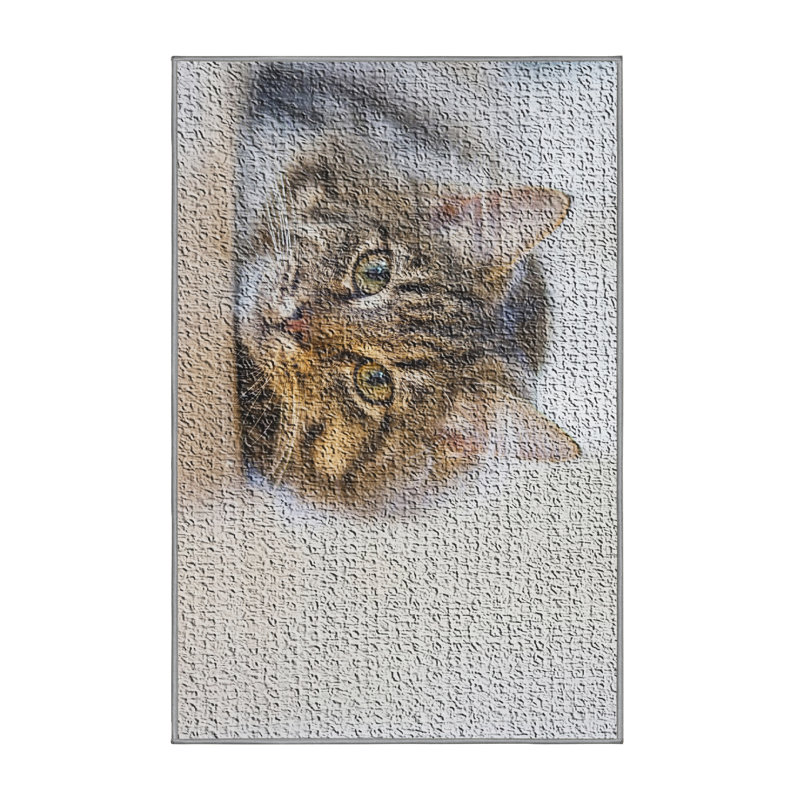 Indoor Rug, Rectangle 4' x 6'