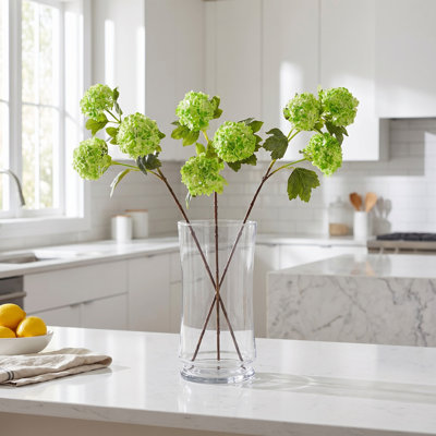 Viburnum vaporisateur 33 po 