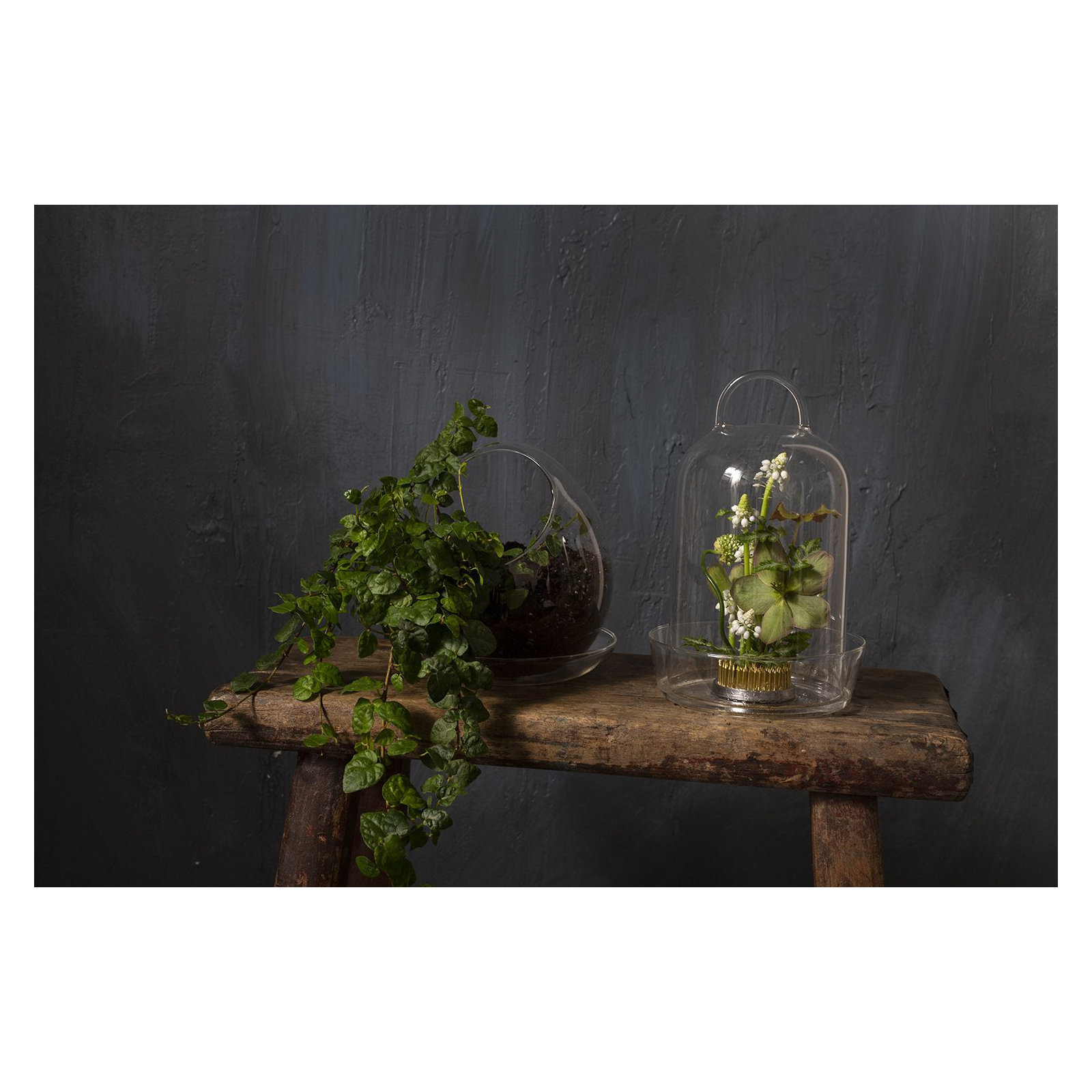 Juhani Handmade Glass Terrarium