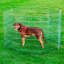 Enclos d'exercice pour chien 42 po friedrich