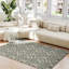 Area Rug-1025093419