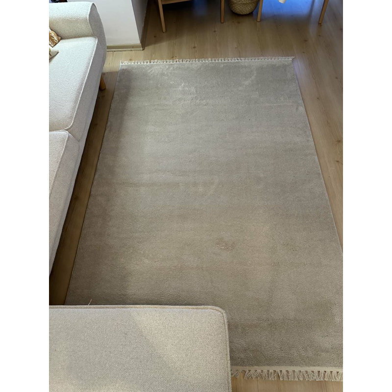 Tivan Indoor / Outdoor Rug, Rectangle 3'11" x 5'11"