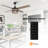 Strasser 52'' Ceiling Fan with Light Kit