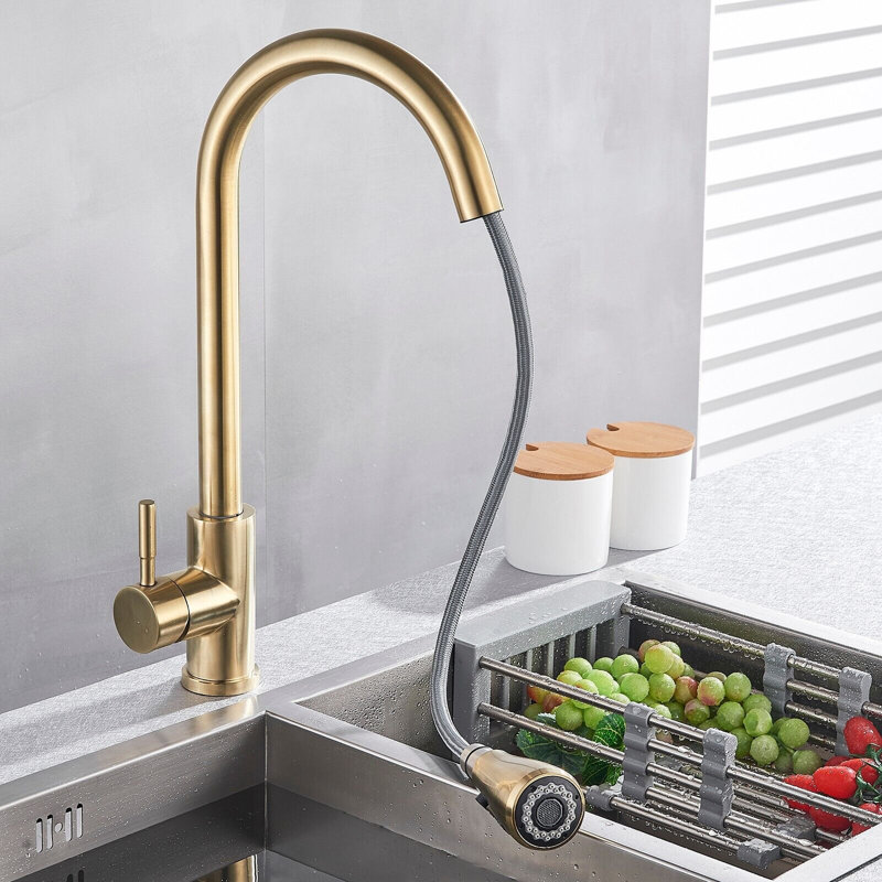 Fairmont Park Nerbone Pull Out Kitchen Faucet