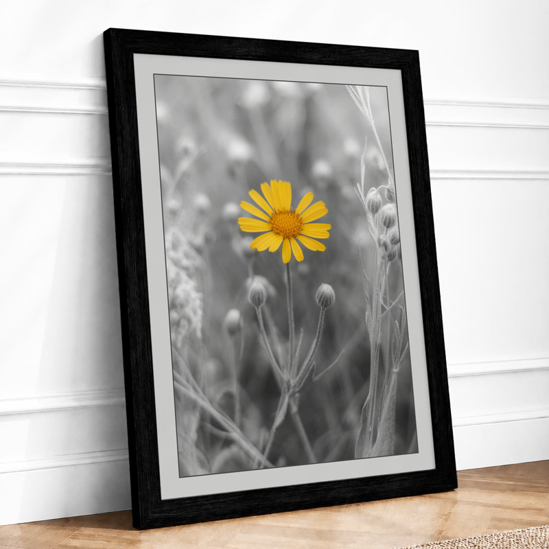 Solitary Yellow Bloom Modern - Framed Print, A2 - 59.4 x 42.0 cm, Black