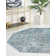 Alabama Oriental Indoor Rug
