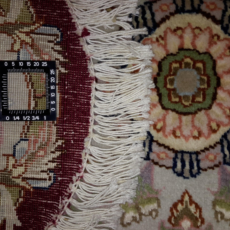 Katrea Oriental Area Rug in Red