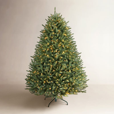 Albric North Valley Spruce Christmas Tree