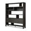 Noeline Bookcase-2101644657