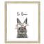 Le lapin est courage-48163495-48169698