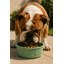 Bol pour animal de compagnie Wuff-107496072
