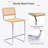 Marlow Modern 24.8" Cane Rattan Cantilever Counter Stools with Metal Frame-957660052