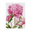 « winsome pivoines ii », peinture sur toile tendue-1907274927
