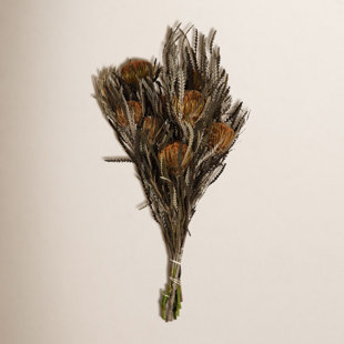 Banksia Arrangement (Set of 2)
