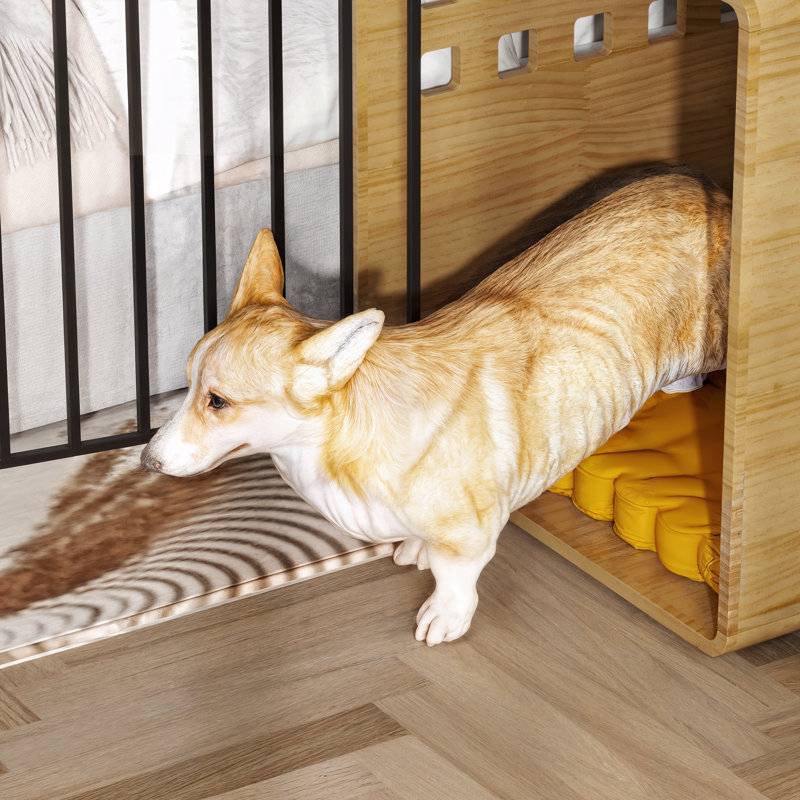 Pet Crate