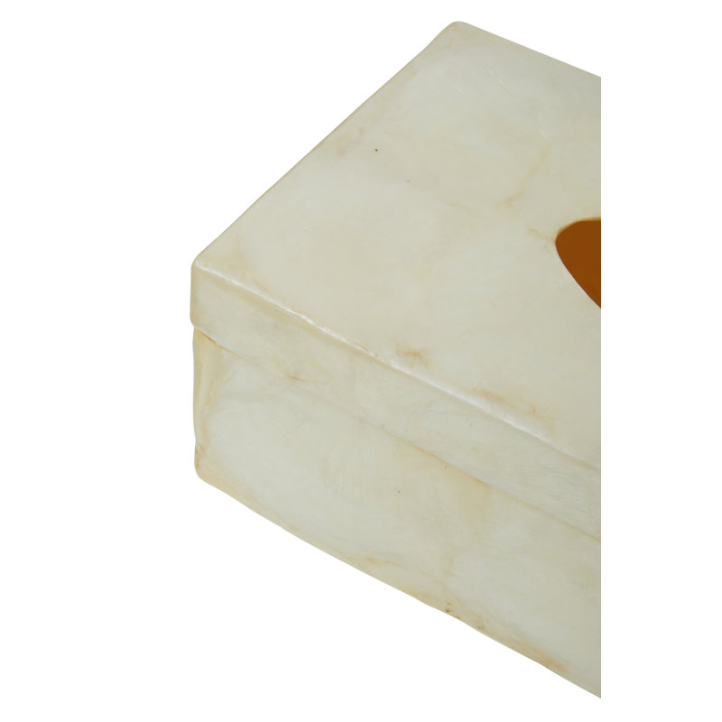 Highland Dunes Resin Decorative Bin