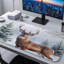 Polyester Desk Pad-1381182071