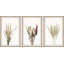 Graminées et fleurs triptyque-2110122838