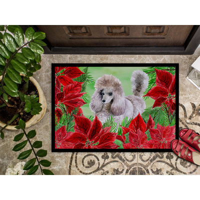 Non-Slip Outdoor Doormat