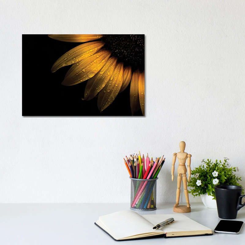 Sunflower Detail II by Brian Carson - Wrapped Canvas Print, 20.32 cm H x 30.48 cm W