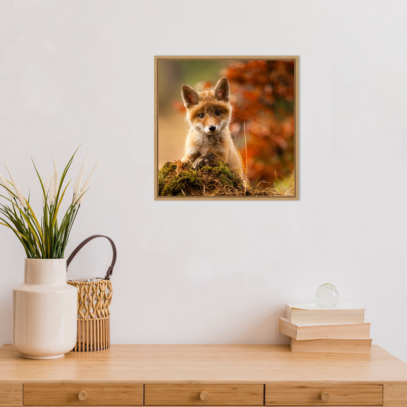 " Fox " by Robert Adamec