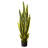 Faux Snake Plant (Sansevieria) Plant in Planter-1037996432