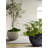 Crater Planter-113137009