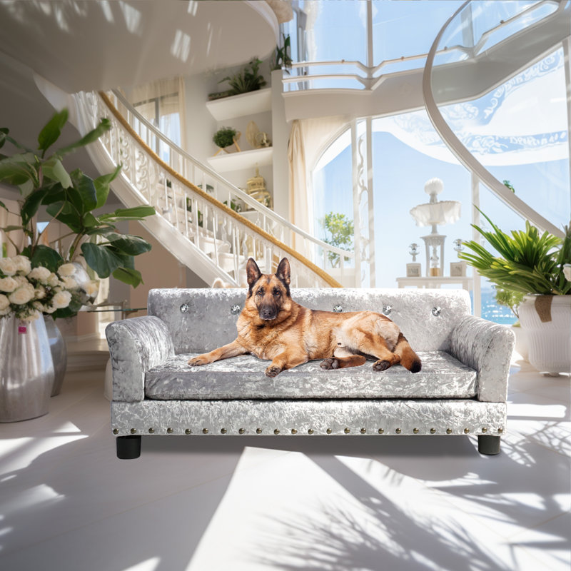 Canapé pour chien, L 38 po x P 28 po x H 16 po