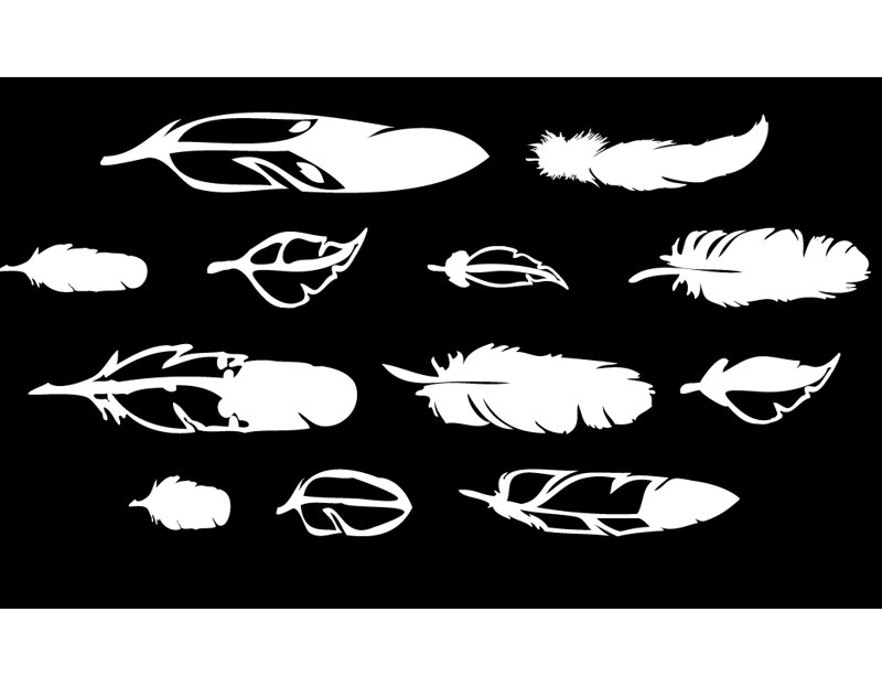 Décalcomanie murale plumes de bois, Blanc, H 26 po x l 54 po x P 0,01 po