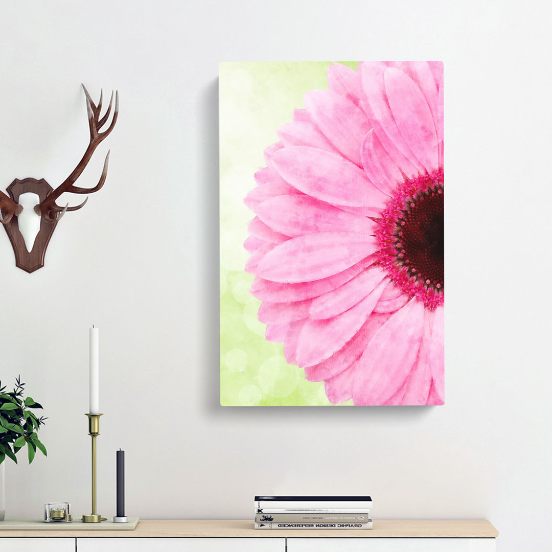Beauty Of A Pink Gerbera Flower - Wrapped Canvas