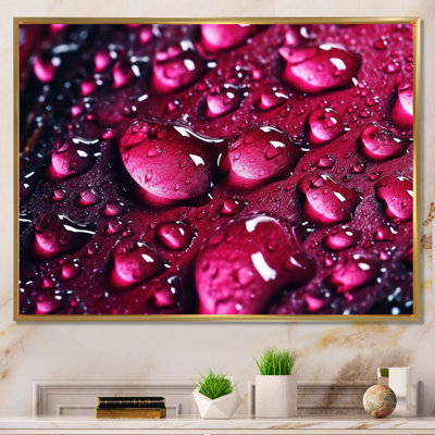 " Red Rose With Raindrops VII "